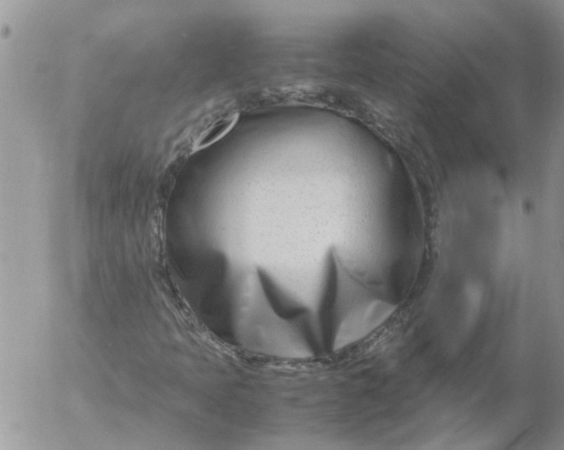 X0000053071397200508011928