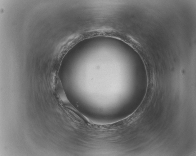 X0000053071398200508011928