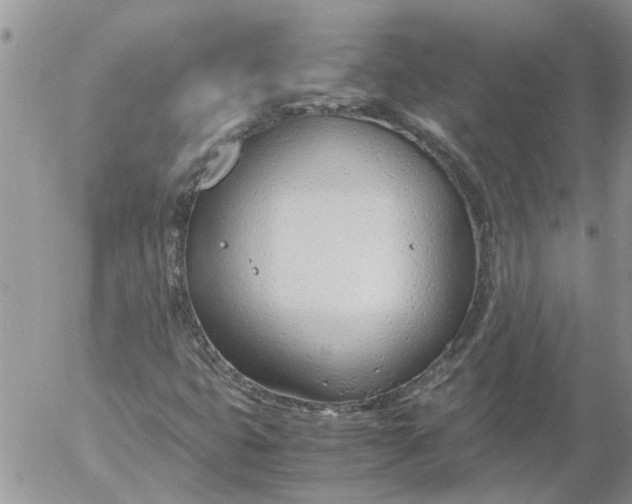 X0000053071399200508011928