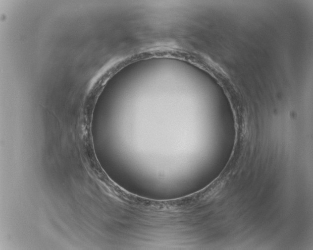 X0000053071400200508011928