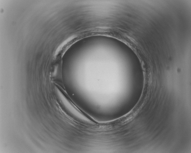 X0000053071402200508011928