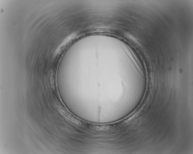 X0000053071403200508011928