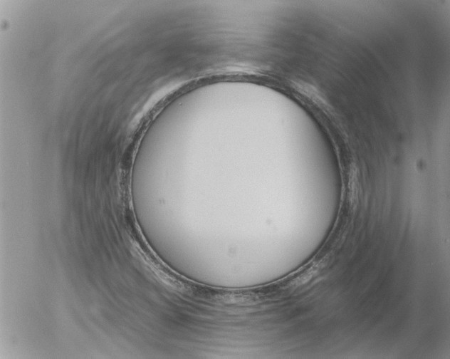 X0000053071404200508011928