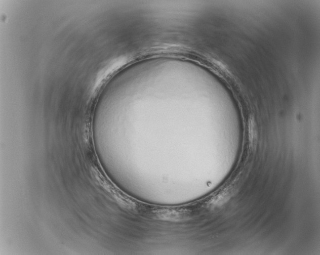 X0000053071405200508011928