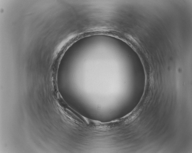 X0000053071406200508011928