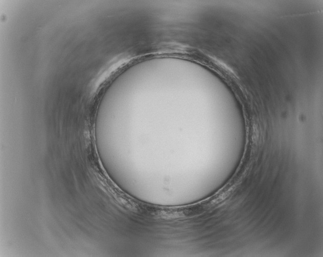 X0000053071407200508011928