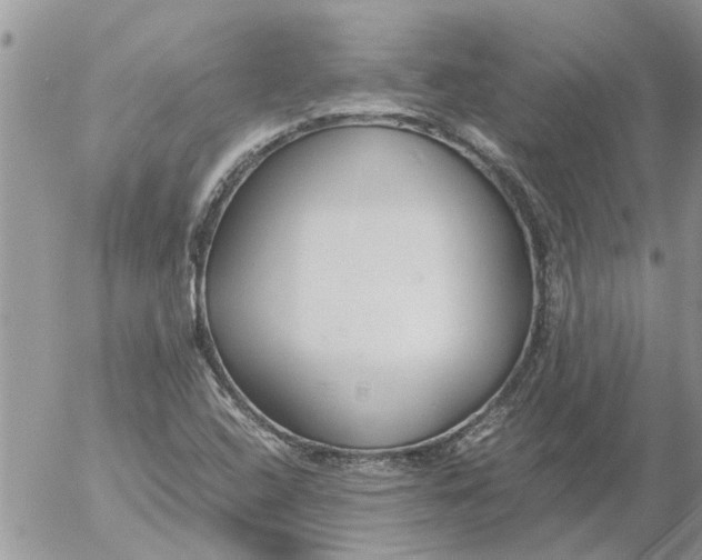 X0000053071408200508011928