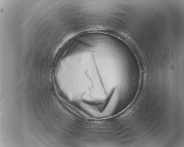 X0000053071409200508011928