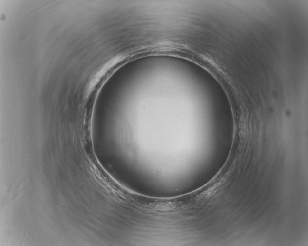 X0000053071410200508011928