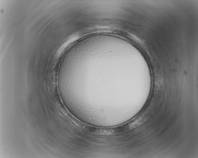 X0000053071411200508011928