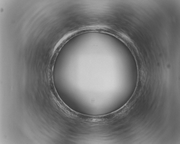 X0000053071412200508011928