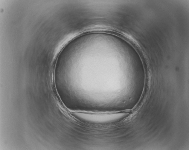 X0000053071413200508011928