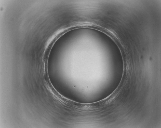 X0000053071414200508011928