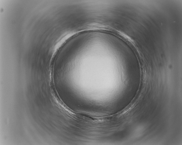 X0000053071415200508011928