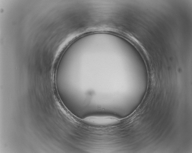 X0000053071416200508011928