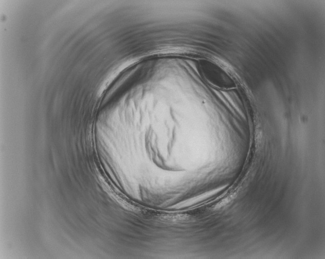 X0000053071417200508011928