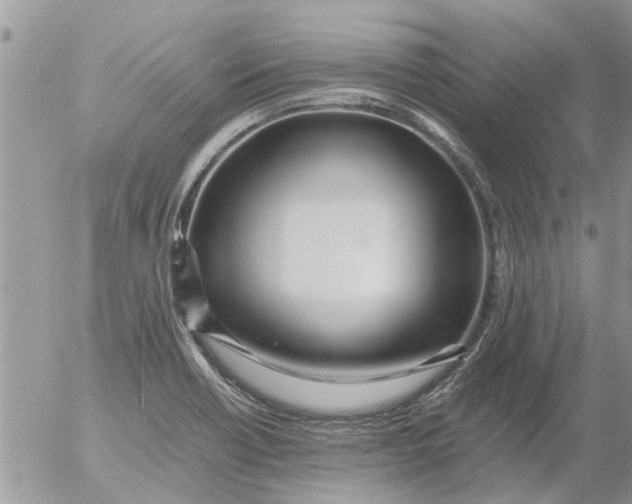 X0000053071418200508011928