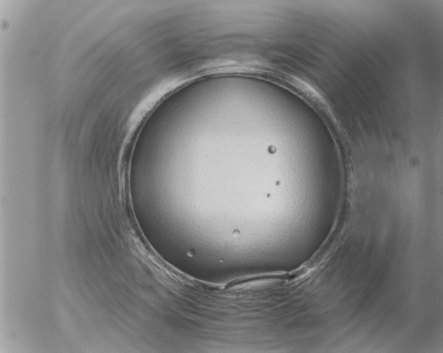 X0000053071419200508011928