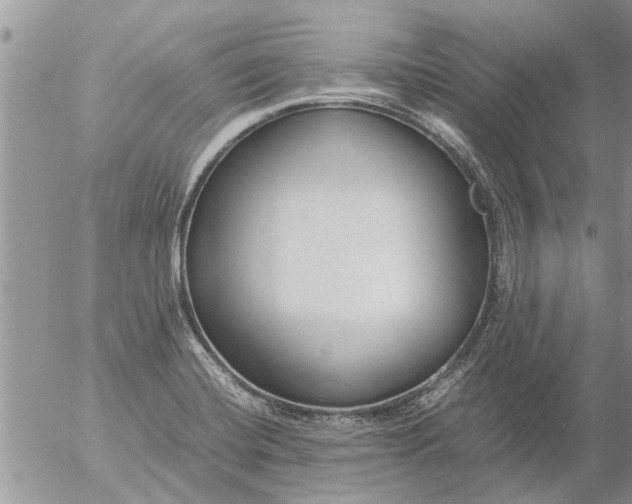 X0000053071420200508011928