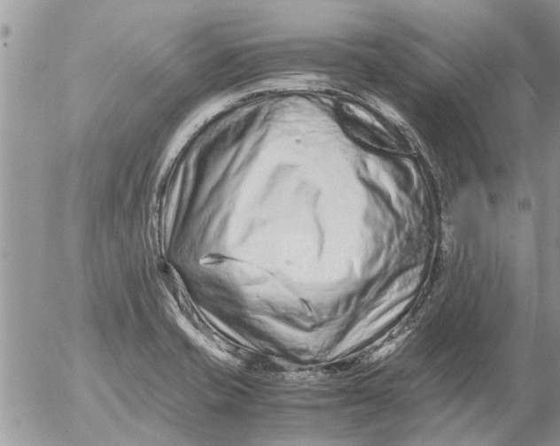 X0000053071421200508011928