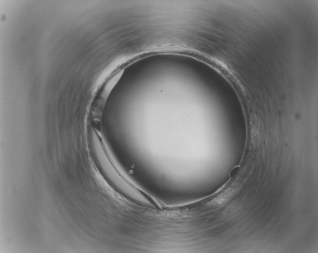 X0000053071422200508011928