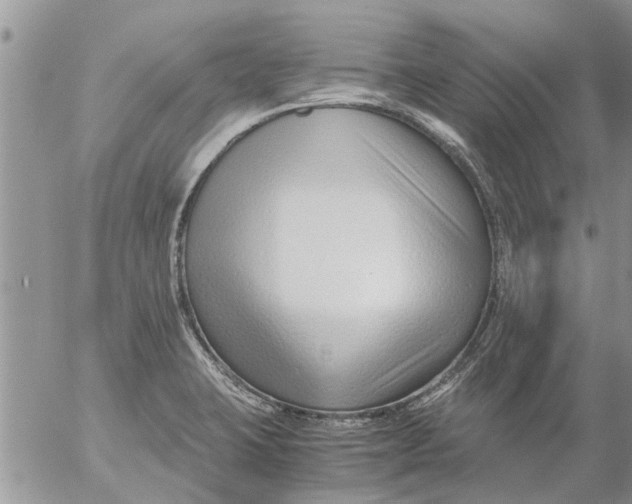 X0000053071423200508011928