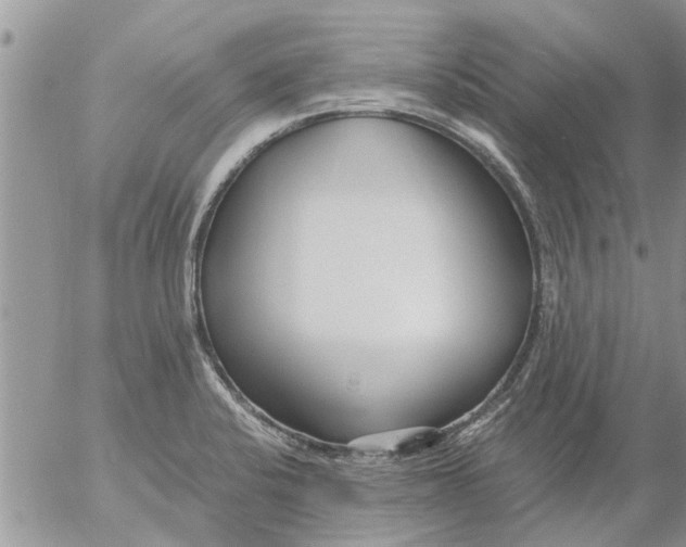 X0000053071424200508011928