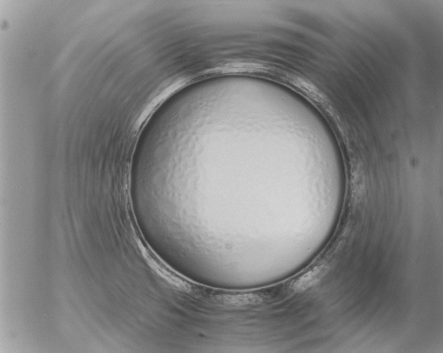 X0000053071425200508011928