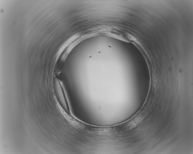 X0000053071426200508011928