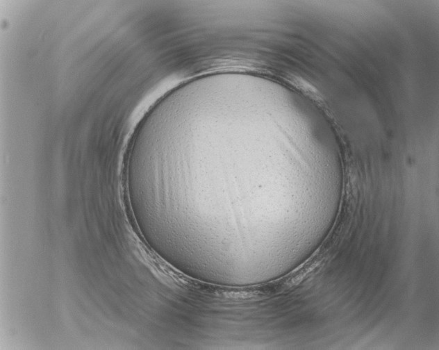 X0000053071427200508011928