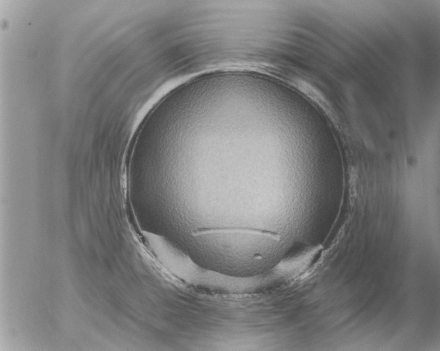 X0000053071428200508011928