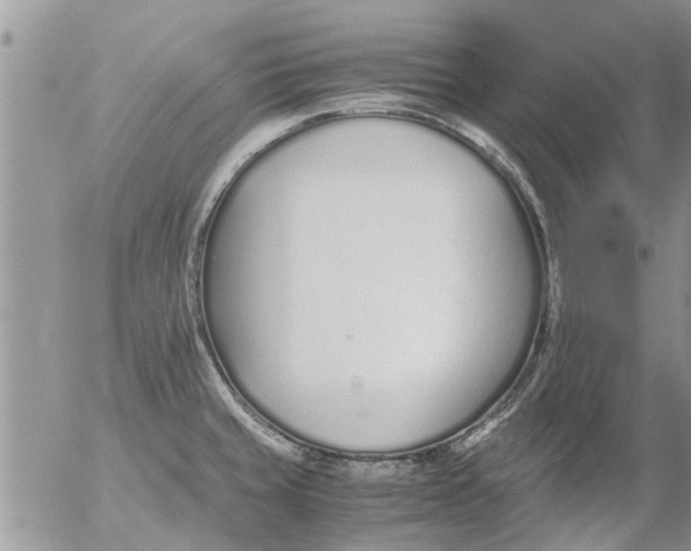 X0000053071429200508011928