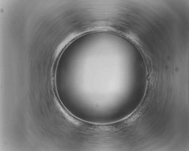 X0000053071430200508011928