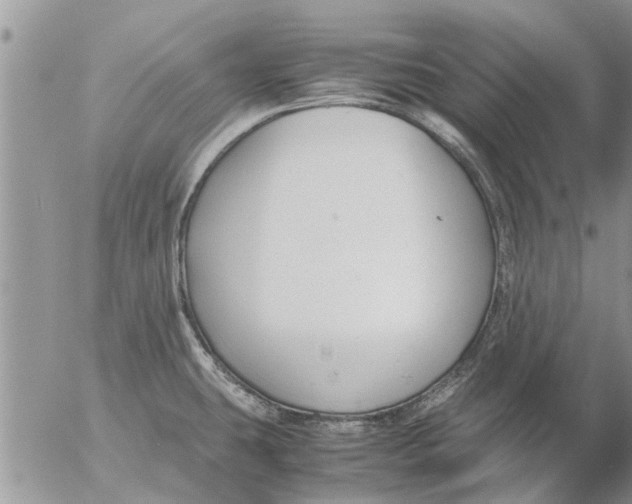 X0000053071431200508011928