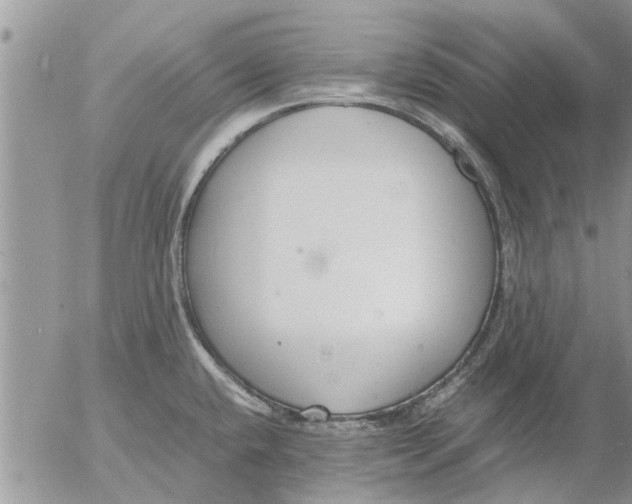 X0000053071432200508011928