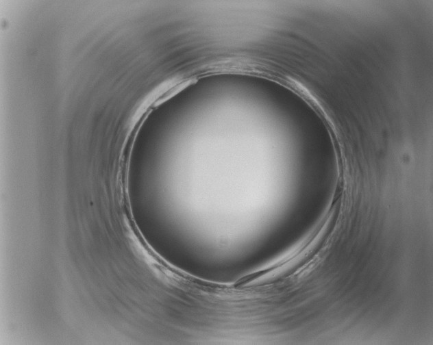 X0000053071434200508011928