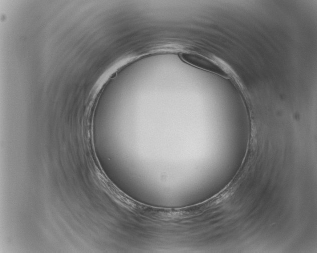 X0000053071435200508011928