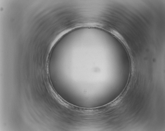 X0000053071436200508011928