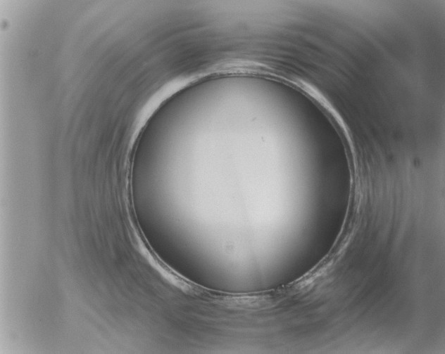 X0000053071437200508011928