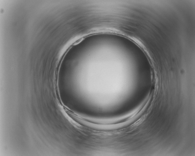 X0000053071438200508011928