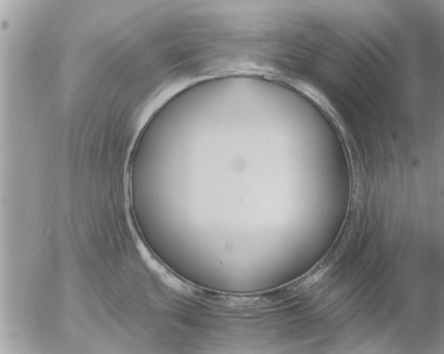 X0000053071439200508011928