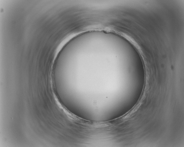 X0000053071440200508011928