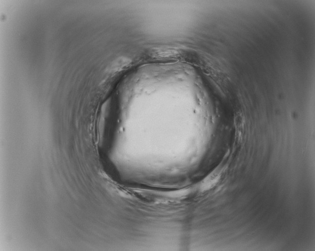 X0000053071441200508011928