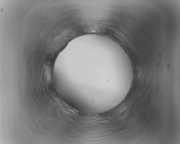 X0000053071442200508011928