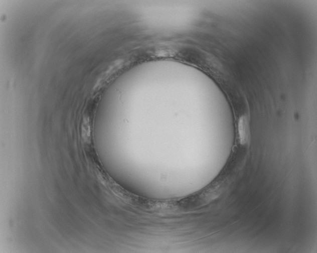 X0000053071443200508011928