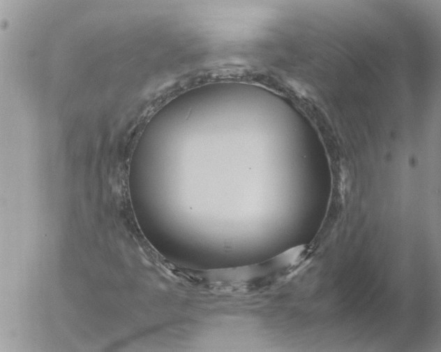 X0000053071445200508011928