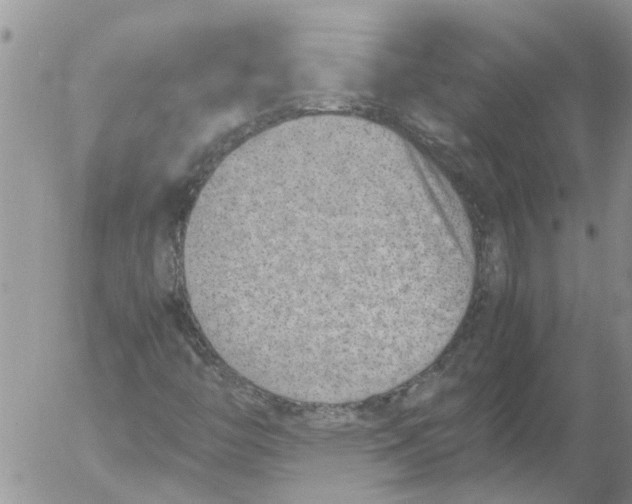 X0000053071446200508011928