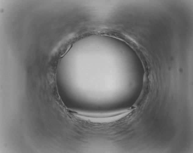 X0000053071447200508011928