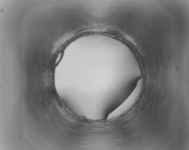 X0000053071448200508011928