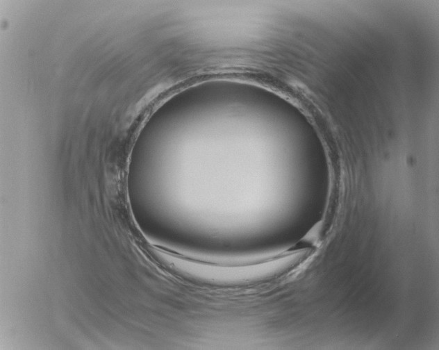 X0000053071449200508011928